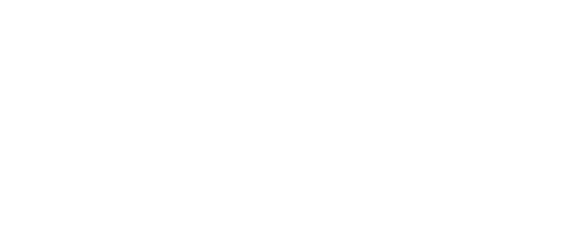 Punt